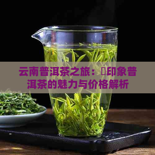 云南普洱茶之旅：瑧印象普洱茶的魅力与价格解析