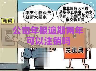 公司年报逾期两年可以注销吗