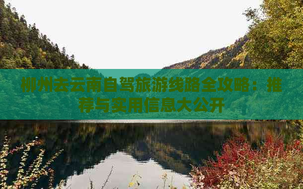 柳州去云南自驾旅游线路全攻略：推荐与实用信息大公开