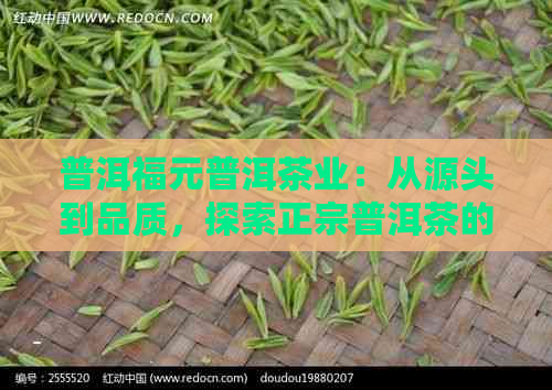 普洱福元普洱茶业：从源头到品质，探索正宗普洱茶的奥秘与选择