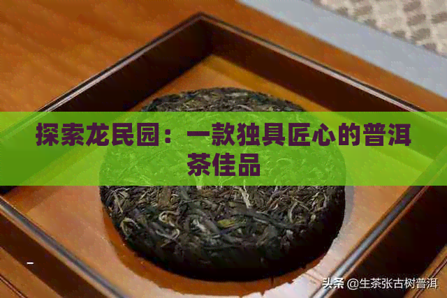 探索龙民园：一款独具匠心的普洱茶佳品