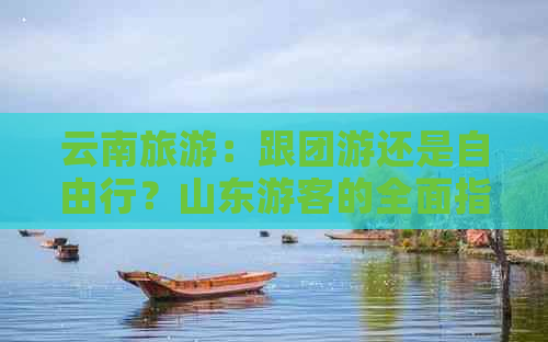 云南旅游：跟团游还是自由行？山东游客的全面指南与比较分析