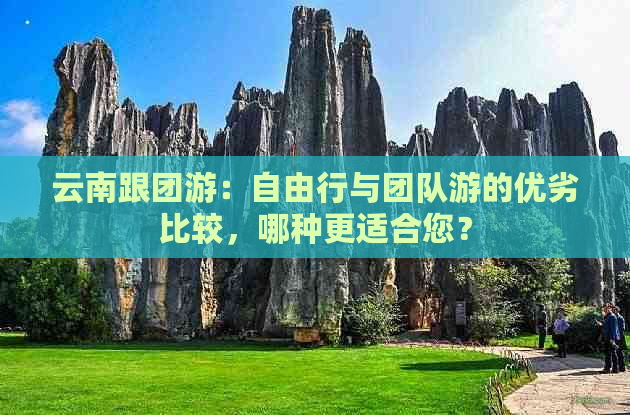 云南跟团游：自由行与团队游的优劣比较，哪种更适合您？