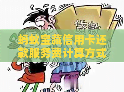 蚂蚁宝藏信用卡还款服务费计算方式及支付宝手续费说明