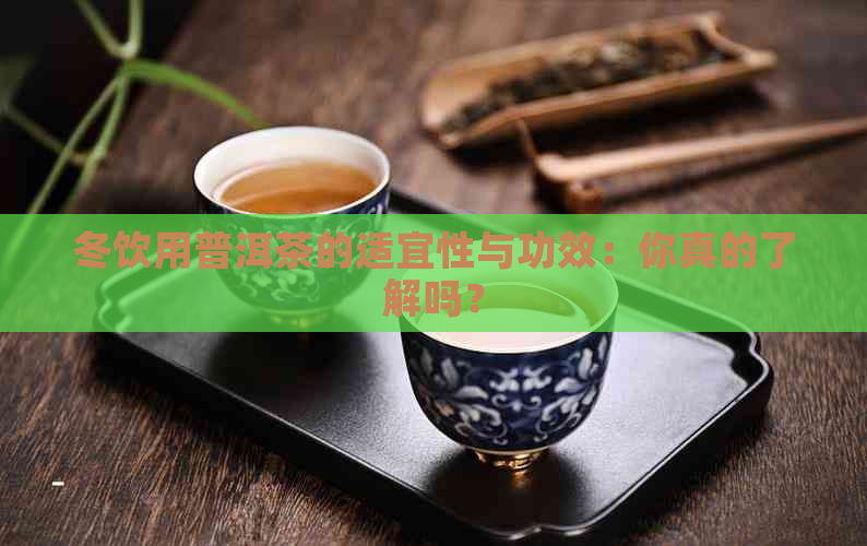 冬饮用普洱茶的适宜性与功效：你真的了解吗？