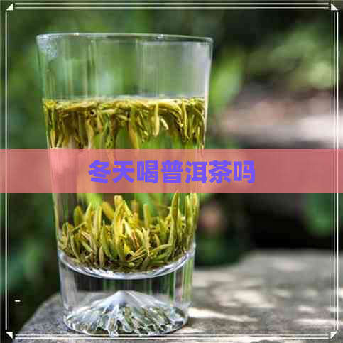 冬天喝普洱茶吗