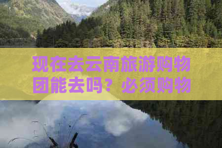 现在去云南旅游购物团能去吗？必须购物吗？能退吗？