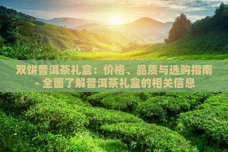 双饼普洱茶礼盒：价格、品质与选购指南 - 全面了解普洱茶礼盒的相关信息