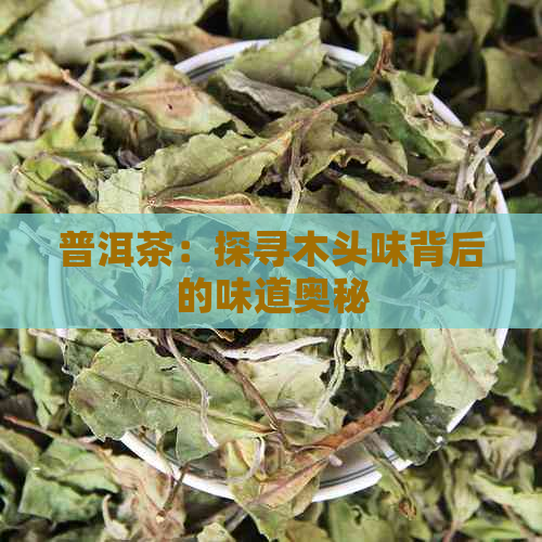 普洱茶：探寻木头味背后的味道奥秘