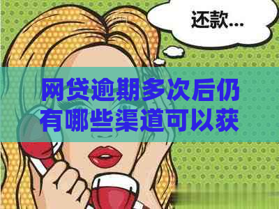 网贷逾期多次后仍有哪些渠道可以获得贷款？详解解决方案和注意事项