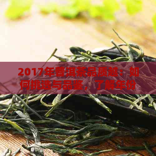 2017年普洱茶品质越：如何挑选与品鉴，了解年份与口感的完美结合