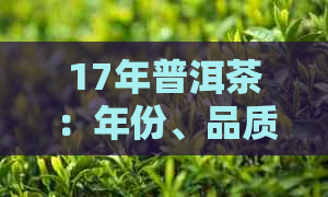 17年普洱茶：年份、品质与收藏价值的深度解析