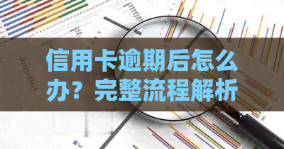 信用卡逾期后怎么办？完整流程解析及相关建议