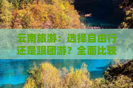 云南旅游：选择自由行还是跟团游？全面比较与分析，为您的旅行提供决策依据