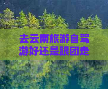 去云南旅游自驾游好还是跟团走好：自由行与团队游的比较