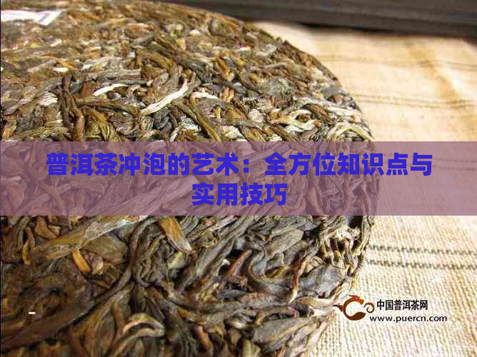 普洱茶冲泡的艺术：全方位知识点与实用技巧