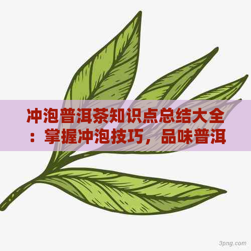 冲泡普洱茶知识点总结大全：掌握冲泡技巧，品味普洱茶的精髓。