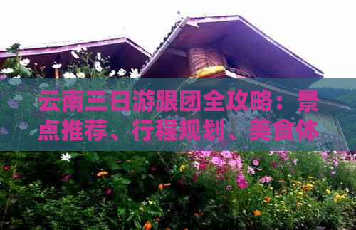 云南三日游跟团全攻略：景点推荐、行程规划、美食体验及住宿建议一应俱全