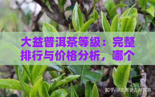 大益普洱茶等级：完整排行与价格分析，哪个等级？