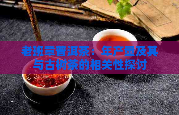 老班章普洱茶：年产量及其与古树茶的相关性探讨