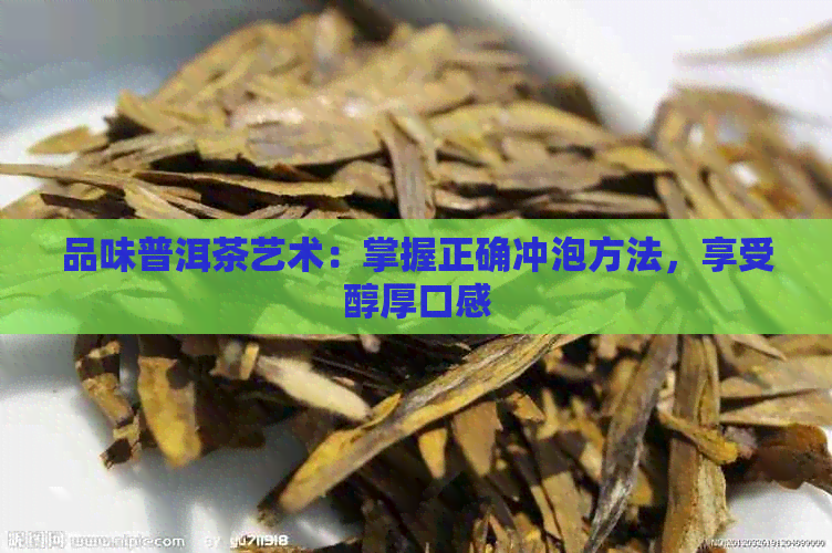 品味普洱茶艺术：掌握正确冲泡方法，享受醇厚口感