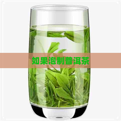 如果泡制普洱茶