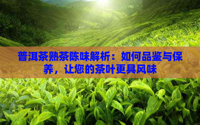 普洱茶熟茶陈味解析：如何品鉴与保养，让您的茶叶更具风味