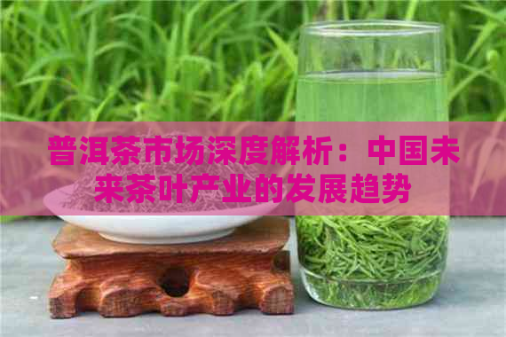 普洱茶市场深度解析：中国未来茶叶产业的发展趋势