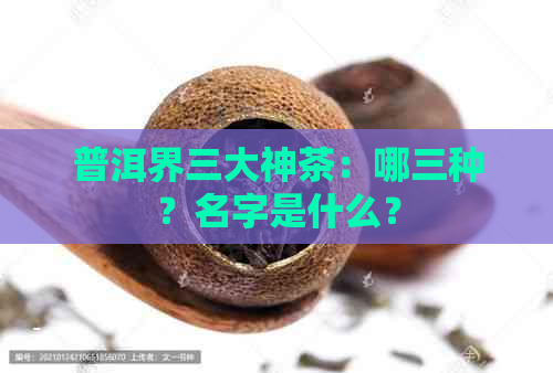 普洱界三大神茶：哪三种？名字是什么？