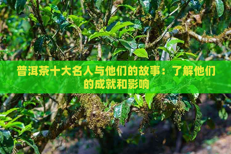 普洱茶十大名人与他们的故事：了解他们的成就和影响