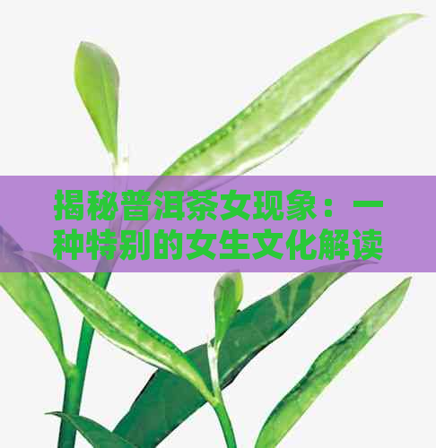 揭秘普洱茶女现象：一种特别的女生文化解读