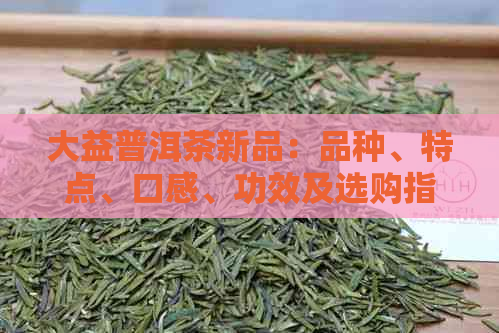 大益普洱茶新品：品种、特点、口感、功效及选购指南，一次解决您的所有疑问