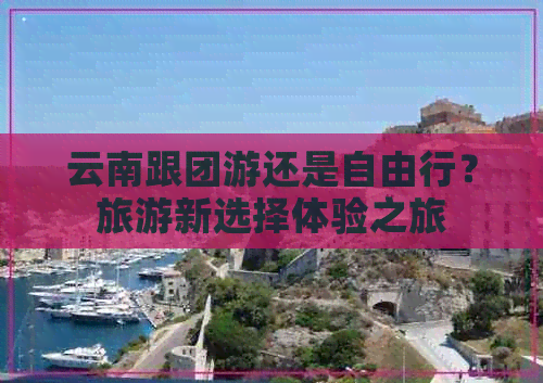 云南跟团游还是自由行？旅游新选择体验之旅