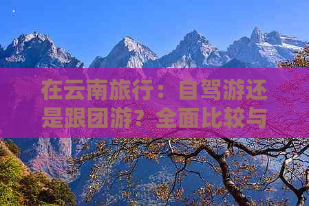 在云南旅行：自驾游还是跟团游？全面比较与优劣分析