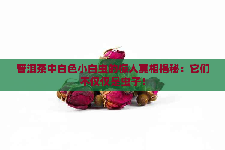 普洱茶中白色小白虫的惊人真相揭秘：它们不仅仅是虫子！