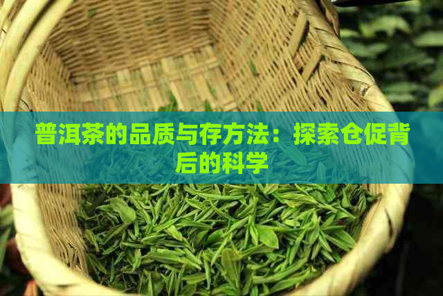 普洱茶的品质与存方法：探索仓促背后的科学