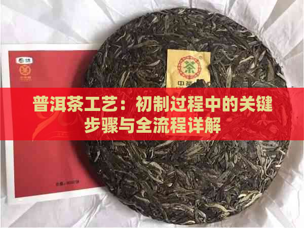 普洱茶工艺：初制过程中的关键步骤与全流程详解