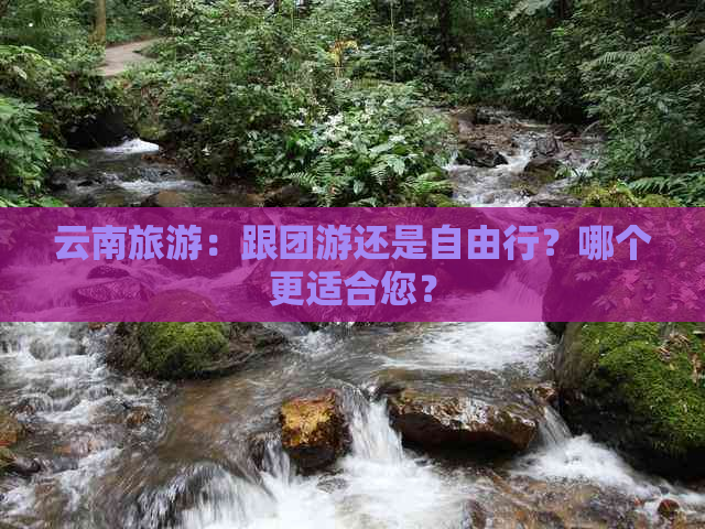 云南旅游：跟团游还是自由行？哪个更适合您？