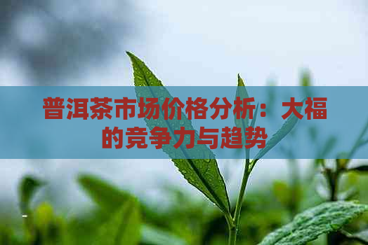 普洱茶市场价格分析：大福的竞争力与趋势