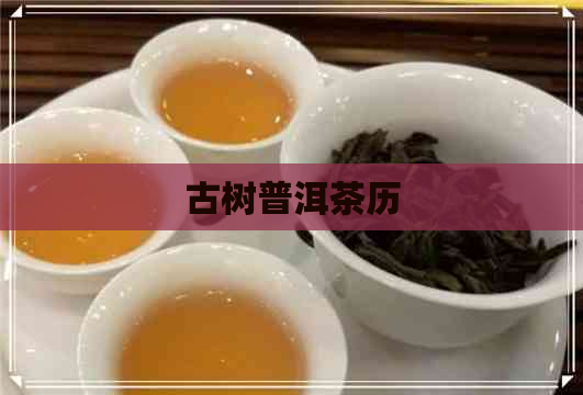 古树普洱茶历