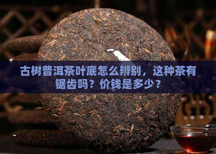 古树普洱茶叶底怎么辨别，这种茶有锯齿吗？价钱是多少？