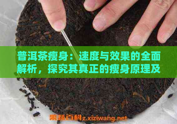 普洱茶瘦身：速度与效果的全面解析，探究其真正的瘦身原理及适用人群