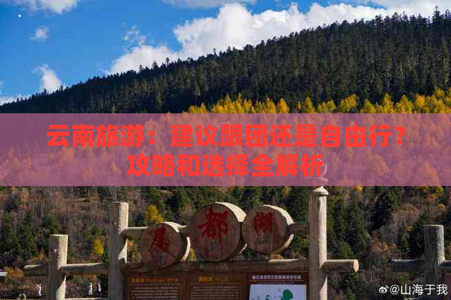 云南旅游：建议跟团还是自由行？攻略和选择全解析