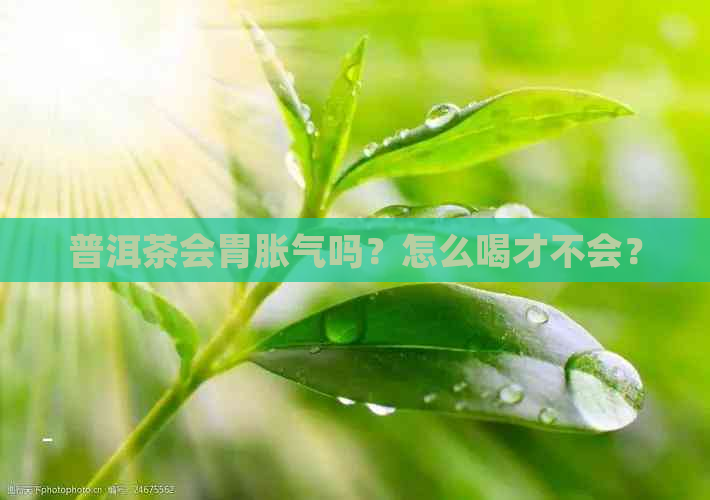 普洱茶会胃胀气吗？怎么喝才不会？