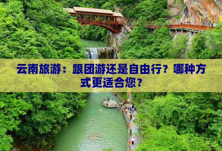 云南旅游：跟团游还是自由行？哪种方式更适合您？