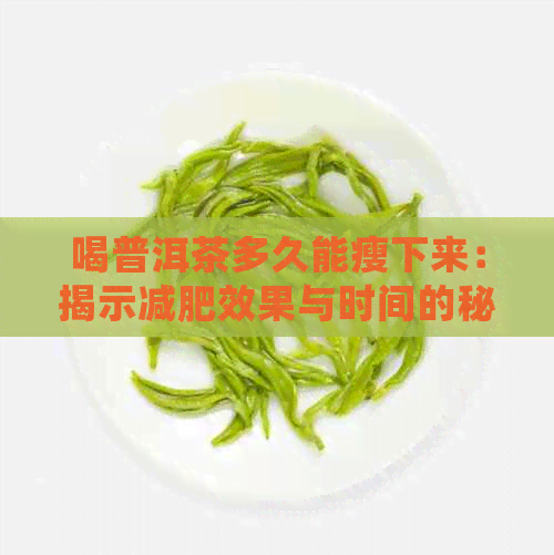 喝普洱茶多久能瘦下来：揭示减肥效果与时间的秘密