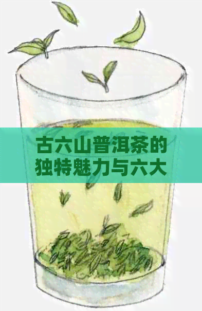 古六山普洱茶的独特魅力与六大茶山特点：一场品味之旅