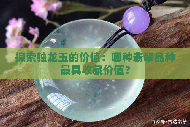 探索独龙玉的价值：哪种翡翠品种更具收藏价值？