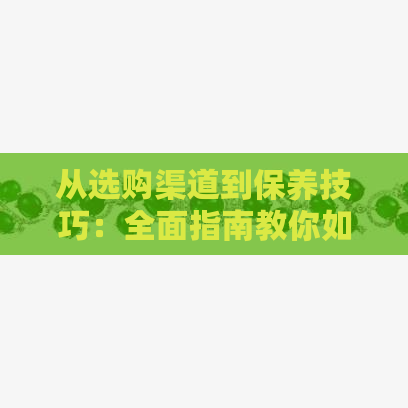 从选购渠道到保养技巧：全面指南教你如何购买和田玉手镯