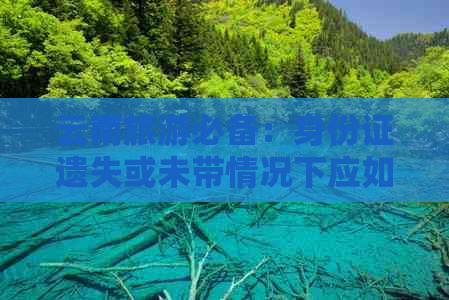 云南旅游必备：身份证遗失或未带情况下应如何应对？